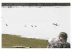 Guided Goose Hunt Colorado - Birds and Bucks Outdoors