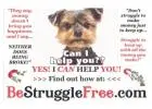 Earn Big, Work Little: $900 Daily in Just 2 Hours!
