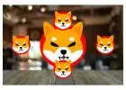 Unearth The Best Market Analyst’s Shibainu Crypto Prediction