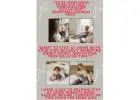 Are you a Single Parent looking to stay at home? Here is An Opportunity to make $900 Daily Pay!