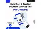 Take Control of Digital Payments World – Launch Your PhonePe like Payment App