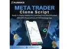 Start Your MT4/MT5 Powered Forex Trading Platform with MetaTrader Clone