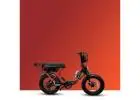 Feel the Island Breeze with Anna Maria Island eBike Rentals