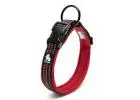 Smart Pet Care Products for Hassle-Free Routines