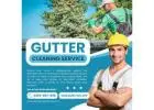 Gutter Cleaning in Point Wilson