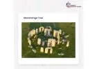 Find customized itinerary and expert local guides to book your Tours to Stonehenge