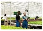 Find Best Nursery Business Software & Greenhouse ERP Here