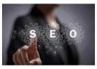 Rank Higher With Best SEO Services In Delhi | Wall Communication