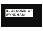 Same Day Flower Delivery Point Cook -  Blossom of Wyndham