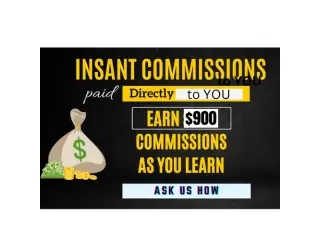 From WiFi to $900 Daily: Join Our 2-Hour Success Story! From WiFi to $900 Daily: Join Our 2-Hour Success Story!