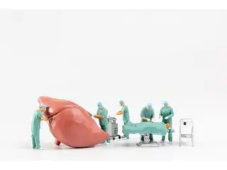 Top Liver Replacement Surgery | Maddadgar Foundation Top Liver Replacement Surgery | Maddadgar Foundation