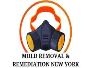 Mold Removal & Remediation New York - Bronx Mold Removal & Remediation New York - Bronx