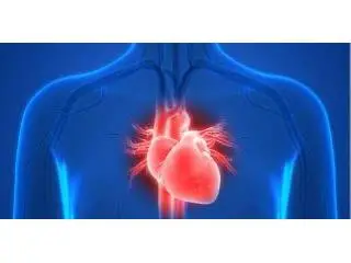 Heart Transplant Surgery | Maddadgar Foundation Heart Transplant Surgery | Maddadgar Foundation