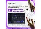 Transform Your Idea into a Revenue-Driven P2P Exchange Platform