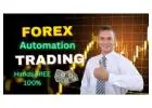 No Trading Experience Needed: Start Earning with Forex Bots