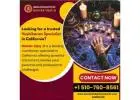 Vashikaran Specialist in California
