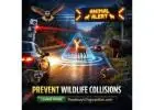 The Roadway Lifeguardian: Revolutionizing Wildlife Crash Prevention Innovation