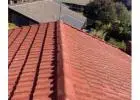 Prevent costly repairs, due to moss or algae growth with holistic Roof Cleaning SA