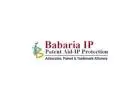 Babaria IP & Co. | patent attorney lawyer in india