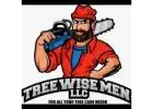 Tree Wise Men