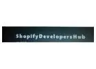 shopify development agency in delhi | shopify development company in delhi