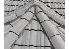 Prevent costly repairs, due to moss or algae growth with holistic Roof Cleaning SA