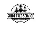 Sindt Tree Service