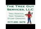 The Tree Guy Services LLC