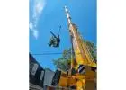 Crane Tower Specialists North Shore | Sam's Tree Services North Shore