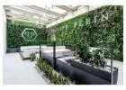 Jardineria vertical