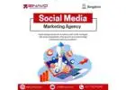 Social Media Marketing Agency in Bangalore | Local SEO Services in Bangalore