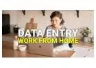 Earn from Home: Form Typing Project | 7708244092