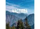 Book Nag Tibba Trek