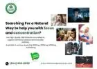 CBD Tincture for Focus