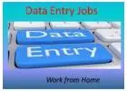 Form Filling Data Entry Project Apply Today call 7708244092