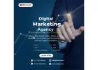 SEO Services in Bangalore | Best SEO Agency in Bangalore – Zinavo