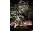 Outdoor Lighting in Miami