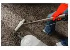 Revive Your Carpets with Expert Carpet Cleaning Brisbane Northside
