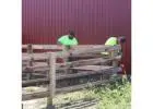 Fencing Products in Ohio | Quality Fence Materials for Every Project