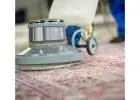 Count on the Eco-Friendly and Safe Carpet Cleaning Adelaide