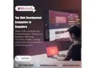 Custom Website Development Services in Bangalore | Zinavo