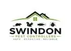 Dial Our Swindon Pest Control to Address All Pest Issues