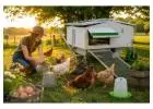 Commercial Chicken Farming Solutions | Portable Chicken Caravans in