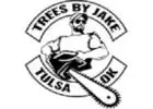 Trees By Jake