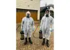 Take Advantage of Our Best Pest Control Swindon
