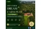 Premium Farmland in Kallur Village for Sale | Delightecofarms