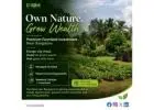 Farmland for Sale in Anantapur | Delightecofarms
