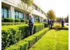 Enhance Business Grounds with Dedicated Landscape Care