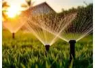 Better Watering Plans for California Landscape Development