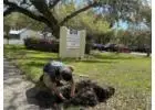 Local Irrigation System Repair for Lawns and Landscaped Areas